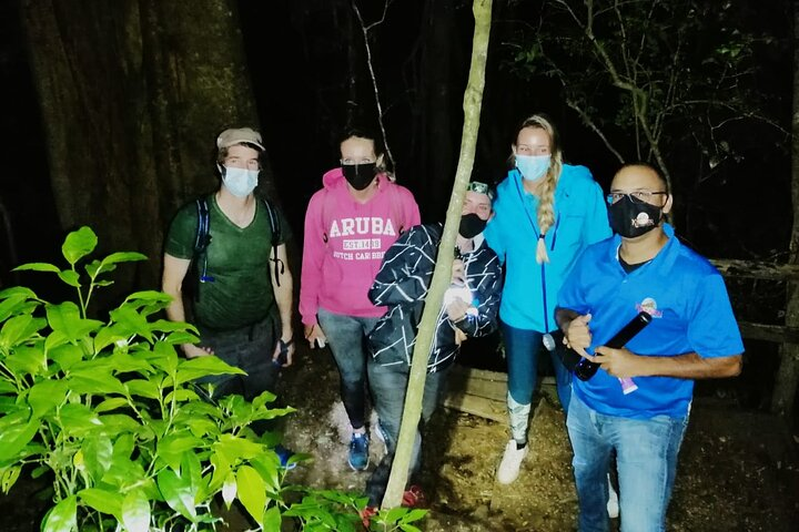 Kinkajou Night Walk Tour - Photo 1 of 3